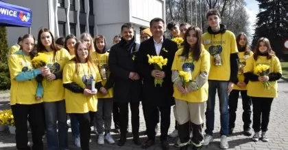 Serca przybrały dzisiaj kształt żonkili!
