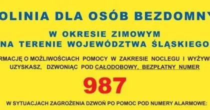 Infolinia dla osób bezdomnych