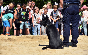 Piknik „Bezpieczne wakacje” (14)