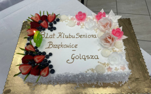 Jubileusz 8-lecia Klubu Seniora Brzękowice-Goląsza (10)