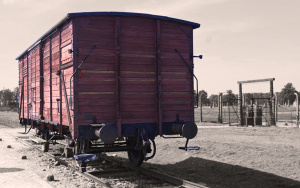 Obóz zagłady, bólu i poniżenia. Seniorzy zwiedzili Auschwitz-Birkenau (2)