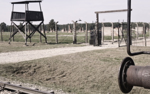 Obóz zagłady, bólu i poniżenia. Seniorzy zwiedzili Auschwitz-Birkenau (3)