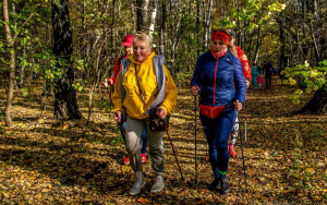 Zabiegany Powiat Wojkowice (2)