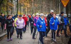 Zabiegany Powiat w Wojkowicach (5)