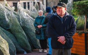 Choinkobranie w powiecie będzińskim (2)