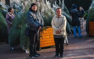 Choinkobranie w powiecie będzińskim (3)