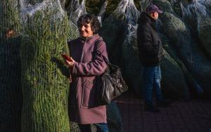 Choinkobranie w powiecie będzińskim (5)