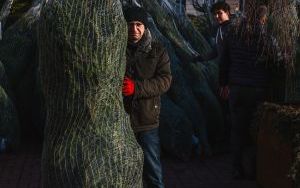 Choinkobranie w powiecie będzińskim (6)