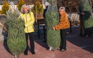 Choinkobranie w powiecie będzińskim (7)