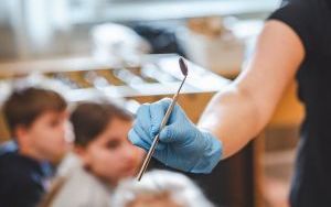 owdir stomatologia (4)