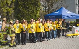 Wielka Kwesta Żonkilowa (1)