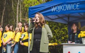 Wielka Kwesta Żonkilowa (3)