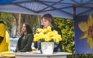 Wielka Kwesta Żonkilowa (4)