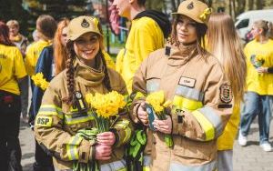 Wielka Kwesta Żonkilowa (6)