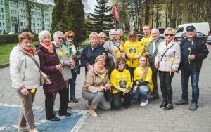 Wielka Kwesta Żonkilowa (8)